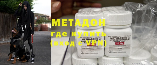 прущие грибы Зерноград