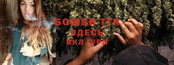 прущие грибы Зерноград