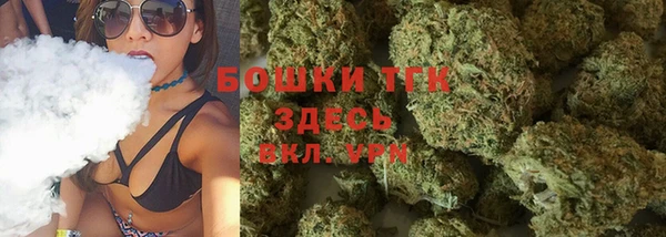 прущие грибы Зерноград